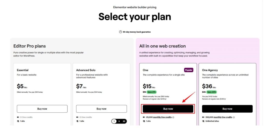 Click Buy Now Button On Elementor Pricing Page Click Buy Now Button On Elementor Pricing Page